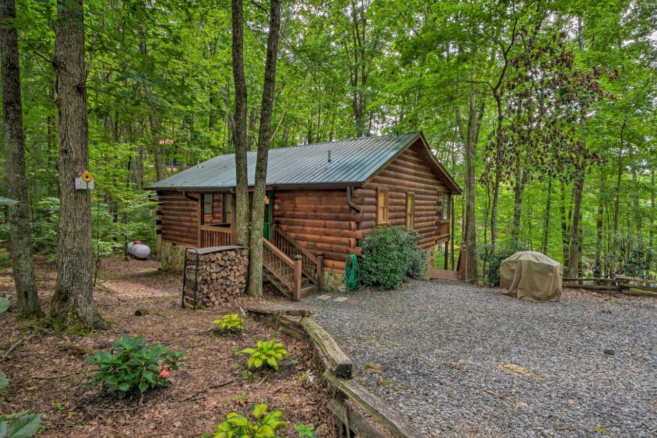 Pinot And Pine Chic Log Cabin About 5 Mi To Blue Ridge Exteriér fotografie